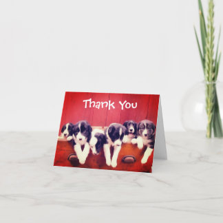 Agradecimiento Cuadros De Collie De Borde Cuadros Gracias Tarjeta