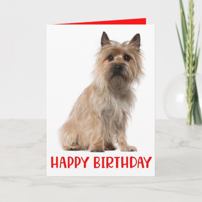 Agradecimiento Cute pipa tarjeta de cumpleaños de Cairn Terrier (Anverso)