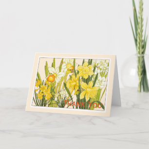Agradecimiento Daffodils, tarjeta de botánicos - saludo Personali