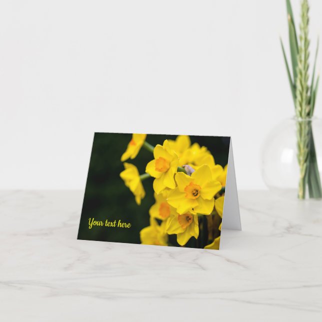 Agradecimiento Daffodils Tarjeta de felicitación (Anverso)