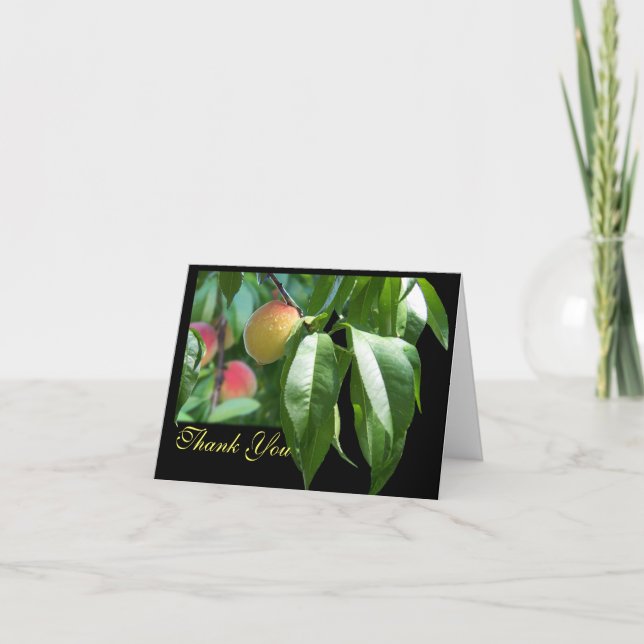 Agradecimiento de árbol de áreas (Anverso)