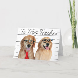 Agradecimiento del profesor Golden Retriever