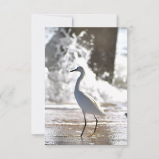 Agradecimiento Egret en la tarjeta de la playa