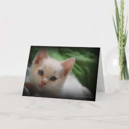 Agradecimiento Espacio en blanco lindo de la tarjeta de