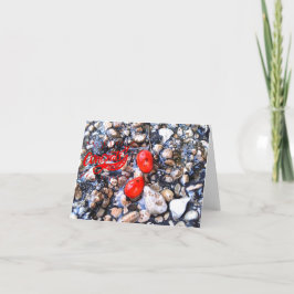 Agradecimiento Felicitaciones Tarjeta de Felicitación en Blanco S