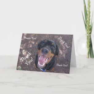 Agradecimiento Feliz Heidi Rottweiler Gracias Tarjeta De Bienveni