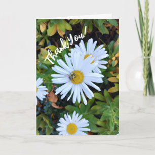 Agradecimiento Flor de margarita blanca con una tarjeta de agrade