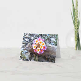 Agradecimiento Flor de Texas Lantana - Tarjeta de saludo en blanc