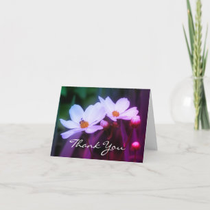 Agradecimiento Flores De Cosmos Blancos Y Tarjeta De Agradecimien