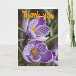 Agradecimiento Flores de crocus morados ... Tarjeta de agradecimi