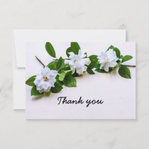 Agradecimiento Flores de Gardenia Simpatía Gracias Tarjeta Flat