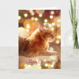 Agradecimiento Gato Pacífico con Luces de Navidad Tarjeta de Vaca