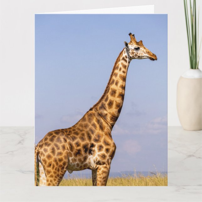 AGRADECIMIENTO GIRAFFE TARJETA DE REUNIÓN DE CUMPLEAÑOS (Anverso)