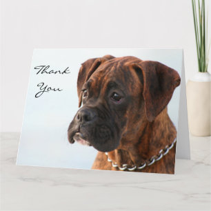Agradecimiento Gracias Brindle boxer puppy tarjeta de saludo gran