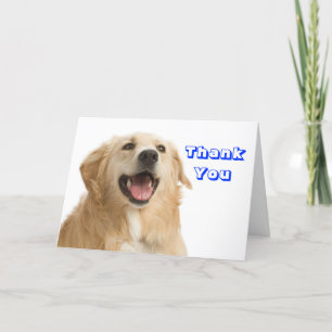 Agradecimiento Gracias, Golden Retriever Puppy Dog, Tarjeta de fe