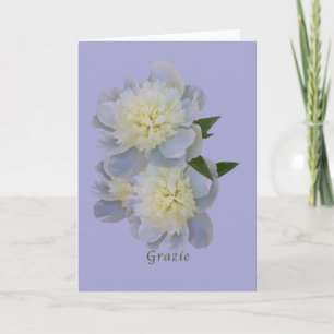 Agradecimiento Gracias, Grazie, italiano, tarjeta blanca de los