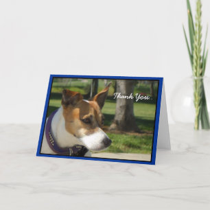 Agradecimiento Gracias Jack Russell Terrier tarjeta de felicitaci