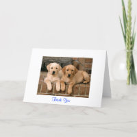 Gracias Labrador Recuperador Cachorros Tarjeta de 