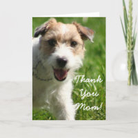 Gracias Mamá Jack Russell Terrier Tarjeta De Salud