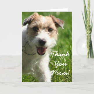 Agradecimiento Gracias Mamá Jack Russell Terrier Tarjeta De Salud