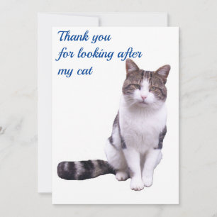 Agradecimiento Gracias por cuidar mi tarjeta de gato