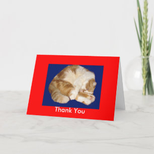 Agradecimiento Gracias por cuidar mi tarjeta de Kitty