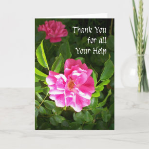 Agradecimiento Gracias por la tarjeta de ayuda - rosas rosas rosa