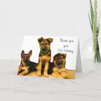 Agradecimiento Gracias por la tarjeta de Mascota Sitting German S