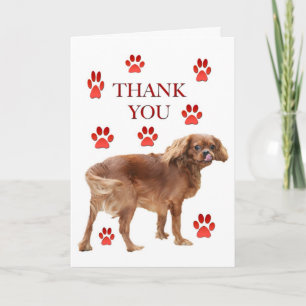 Agradecimiento Gracias Por La Tarjeta De Saludo De Comida