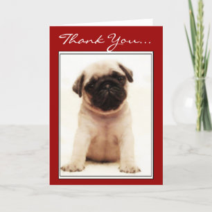 Agradecimiento Gracias Pug, tarjeta de bienvenida para cachorros