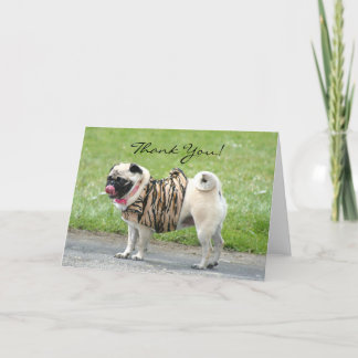 Agradecimiento Gracias Pug tarjeta de felicitación