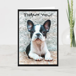 Agradecimiento Gracias tarjeta de bienvenida de Bulldog francés