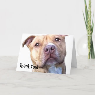 Agradecimiento Gracias tarjeta de bienvenida Pitbull
