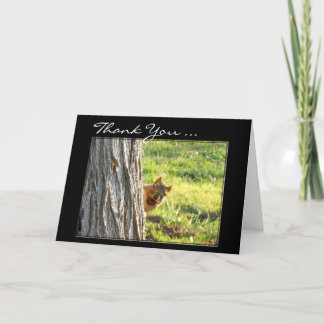 Agradecimiento Gracias tarjeta de bienvenida Squirrel
