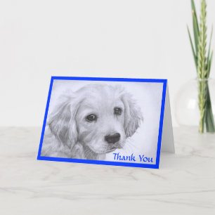 Agradecimiento Gracias tarjeta de dibujo de porcino Golden Retrie