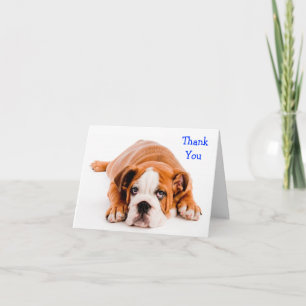 Agradecimiento Gracias Tarjeta de felicitación de Bulldog - Amabi
