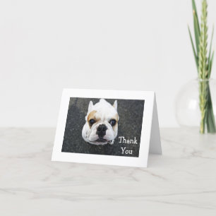 Agradecimiento Gracias Tarjeta de felicitación de Bulldog - Amabi