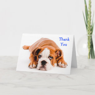 Agradecimiento Gracias Tarjeta de felicitación de Bulldog - Amabi