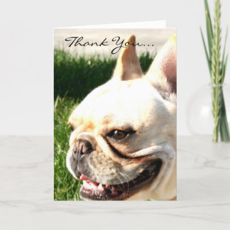 Agradecimiento Gracias tarjeta de felicitación de bulldog francés