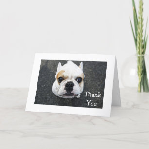 Agradecimiento Gracias Tarjeta de felicitación de Bulldog - Verso