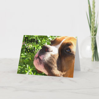 Agradecimiento Gracias tarjeta de felicitación de cachorro Boxer
