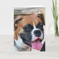 Gracias tarjeta de felicitación de perro Boxer