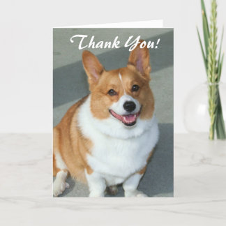 Agradecimiento Gracias tarjeta de felicitación del corgi Galés