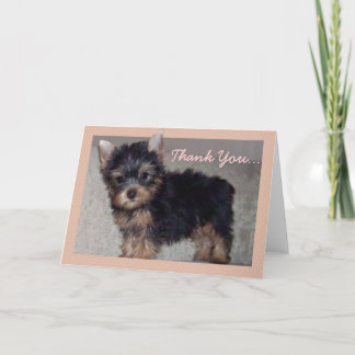 Agradecimiento Gracias tarjeta de felicitación del perrito de