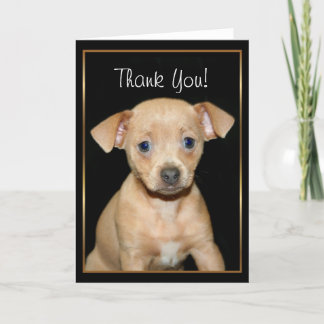 Agradecimiento Gracias tarjeta de felicitación del perrito de la