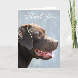 Agradecimiento Gracias tarjeta de felicitación del perro del