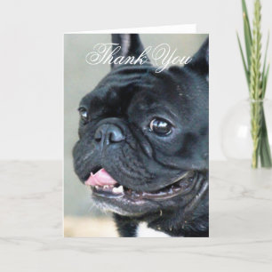 Agradecimiento Gracias tarjeta de felicitación del perro del
