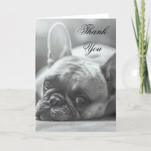 Agradecimiento Gracias tarjeta de felicitación del perro del