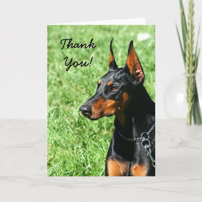 Agradecimiento Gracias tarjeta de felicitación Doberman Pinscher (Anverso)