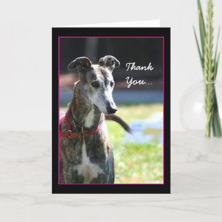 Agradecimiento Gracias tarjeta de felicitación Greyhound